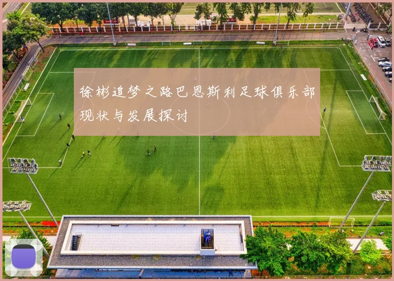 徐彬追梦之路巴恩斯利足球俱乐部现状与发展探讨
